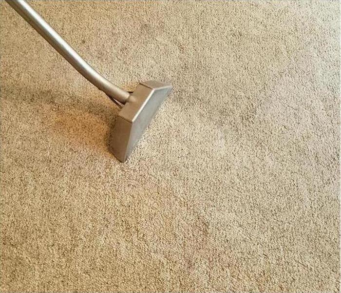 A carpet being cleaned