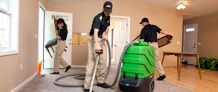 Saginaw, MI cleaning services